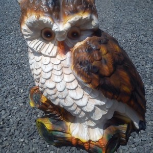 sowa ogrodowa